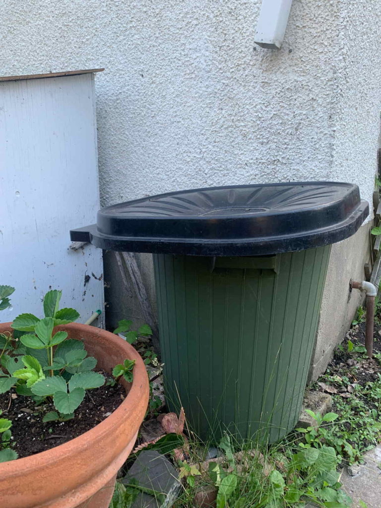 Garbage bin as rain barrel