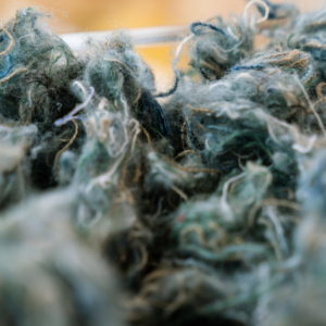 A close-up photo of cotton